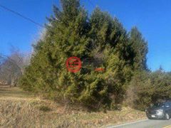美国纽约州斯万莱克的住宅用地，None 927-943 Briscoe Road，编号77678491