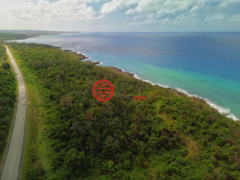 牙买加汉诺威Cousins Cove的住宅用地，Cousins Cove，编号78163173