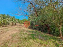 洪都拉斯海湾群岛Roatán的住宅用地，Beautiful Oceanfront Bluff Between West End & West Bay，编号78338279