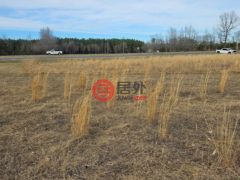 美国马里兰州马德拉斯普林斯的住宅用地，None US RT 50，编号77358627