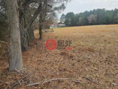 美国马里兰州马德拉斯普林斯的住宅用地，None US RT 50，编号77358627