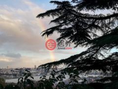 土耳其伊斯坦布尔伊斯坦布尔的独栋别墅，编号72735768