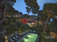 法国普罗旺斯-阿尔卑斯-蔚蓝海岸Villefranche-sur-Mer的独栋别墅，编号78041287
