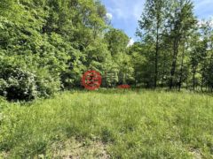 美国印地安那州伊丽莎白敦的住宅用地，None W Cr 750 N，编号77886900