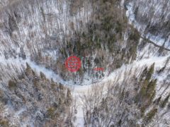 加拿大安大略省Burk's Falls的住宅用地，Colbourne Road，编号78115911