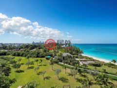 巴哈马天堂岛的公寓，Reef 5-919 One Casino Drive，编号78476386