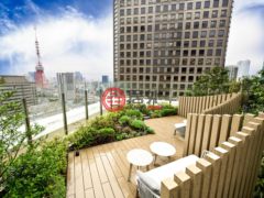 日本TokyoMinato的公寓，编号77958199