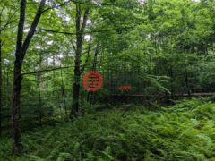 美国佛蒙特州努凡的住宅用地，Dover Road，编号78495551