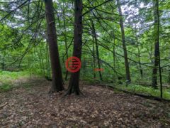 美国佛蒙特州努凡的住宅用地，Dover Road，编号78495551