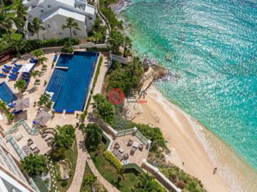 The Cove