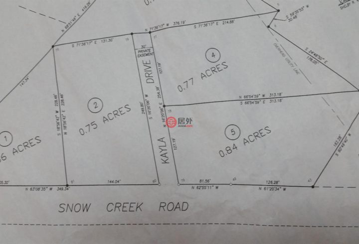肯塔基gdp_肯塔基蓝草图片