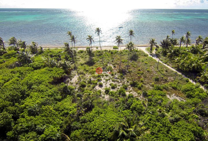 占地8276平方米的住宅用地_伯利兹房产伯利兹伯利兹市房产房价_居外网