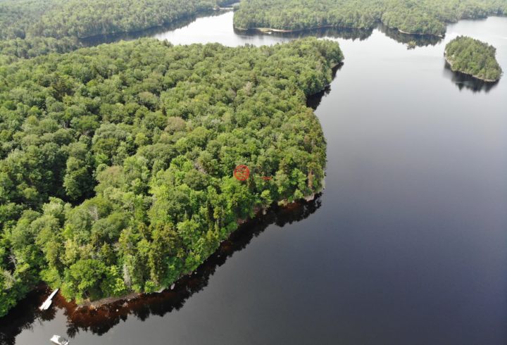 美国纽约州big moose2卧1卫的房产